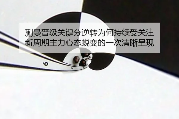 蒯曼晋级关键分逆转为何持续受关注 新周期主力心态蜕变的一次清晰呈现